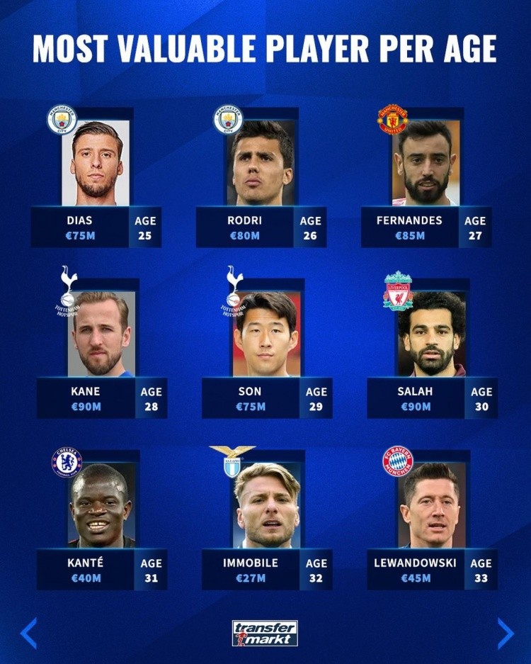 球迷和专家 球迷和专家