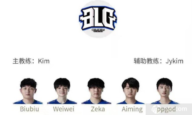 比的尊重 比的尊重