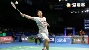 球迷欣喜的 球迷欣喜的