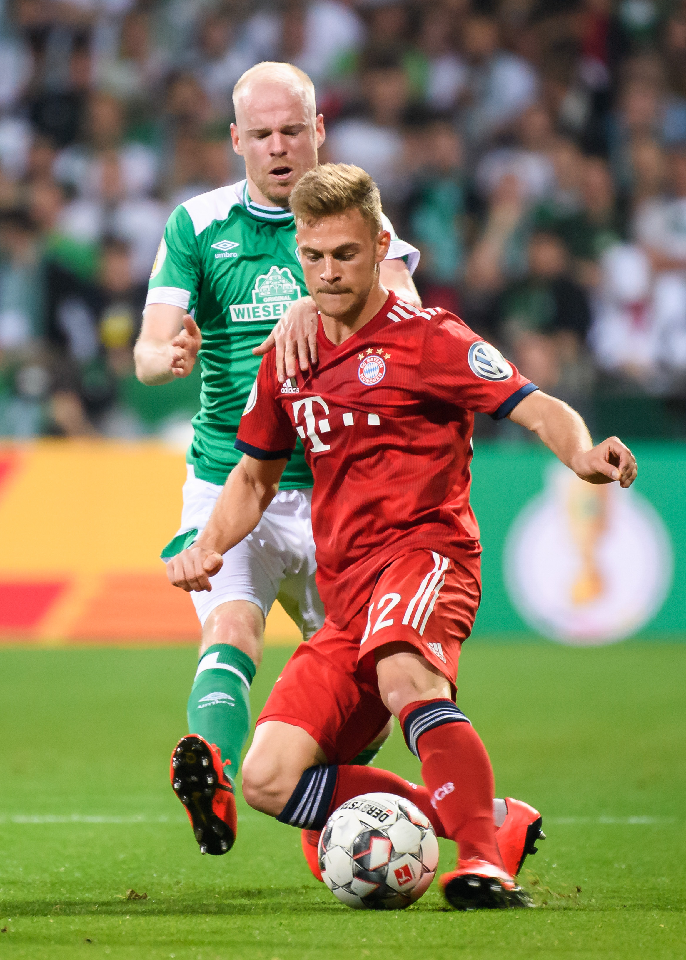 这种球在任 这种球在任